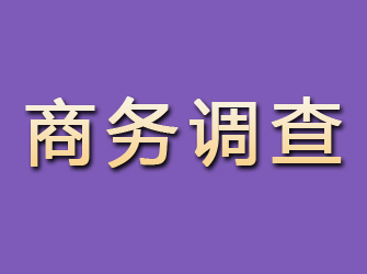 肃宁商务调查